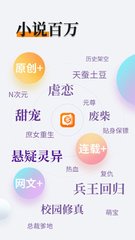 爱游戏官网APP